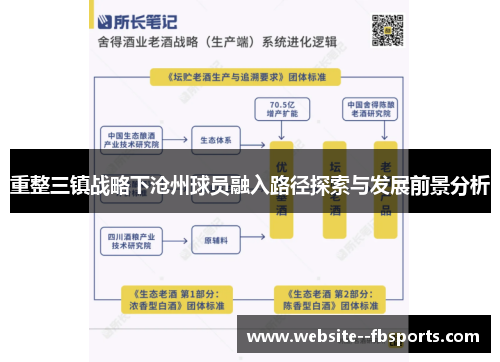 重整三镇战略下沧州球员融入路径探索与发展前景分析 重整三镇战略下沧州球员融入路径探索与发展前景分析