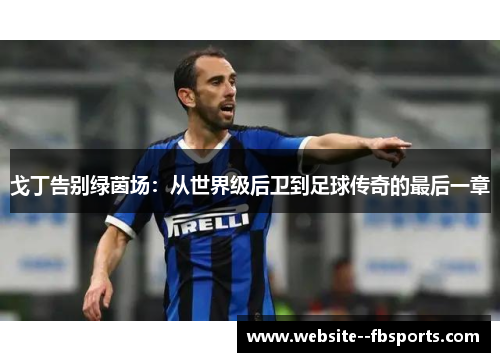 戈丁告别绿茵场:从世界级后卫到足球传奇的最后一章 戈丁告别绿茵场:从世界级后卫到足球传奇的最后一章